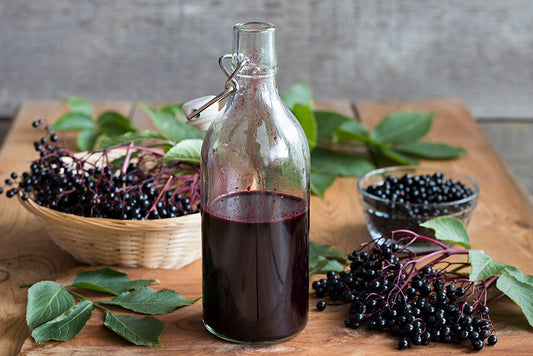 The Power Of Elderberry: How This Superfood Can Benefit Your Health